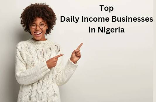 Daily Income Business in Nigeria