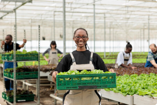 Farming Business in Nigeria