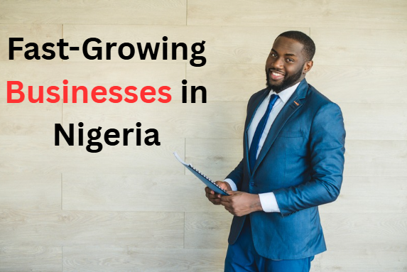 Fast Growing Business in Nigeria