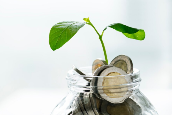Safe Investments With High Returns in Nigeria